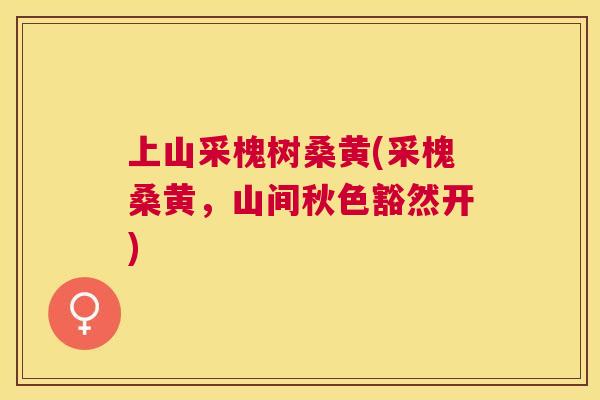 上山采槐树桑黄(采槐桑黄,山间秋色豁然开) 上山采槐树桑黄(采槐桑黄,山间秋色豁然开)