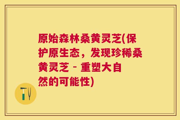 原始森林桑黄灵芝(保护原生态,发现珍稀桑黄灵芝 - 重塑大自然的可能性) 原始森林桑黄灵芝(保护原生态,发现珍稀桑黄灵芝 - 重塑大自然的可能性)