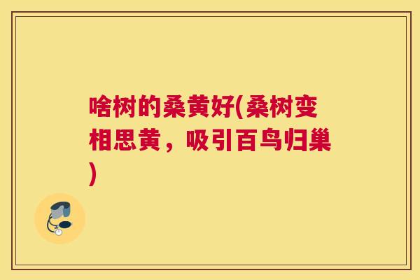 啥树的桑黄好(桑树变相思黄,吸引百鸟归巢) 啥树的桑黄好(桑树变相思黄,吸引百鸟归巢)