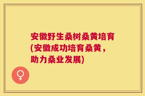 安徽野生桑树桑黄培育(安徽成功培育桑黄,助力桑业发展) 安徽野生桑树桑黄培育(安徽成功培育桑黄,助力桑业发展)
