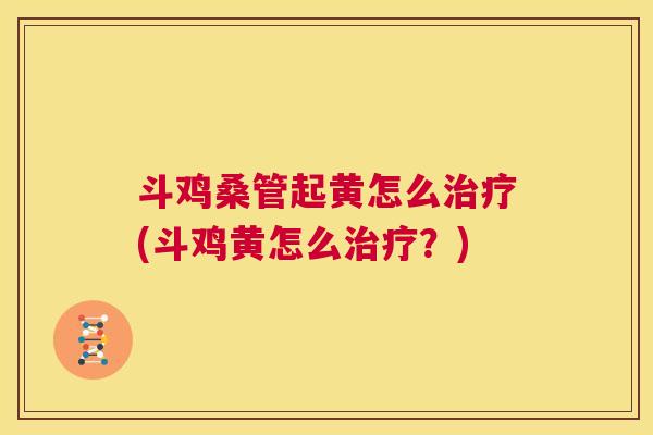 斗鸡桑管起黄怎么(斗鸡黄怎么?) 斗鸡桑管起黄怎么(斗鸡黄怎么?)
