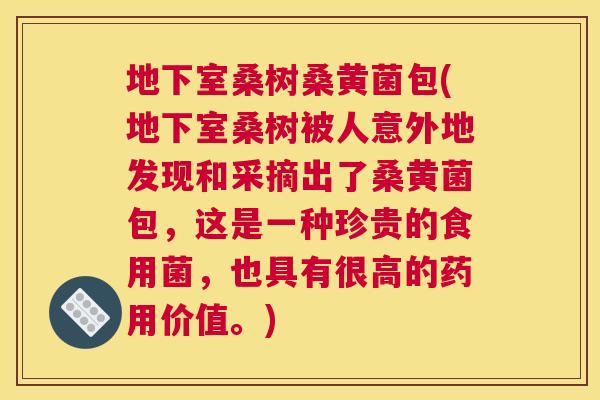 地下室桑树桑黄菌包(地下室桑树被人意外地发现和采摘出了桑黄菌包,这是一种珍贵的食用菌,也具有很高的药用价值。) 地下室桑树桑黄菌包(地下室桑树被人意外地发现和采摘出了桑黄菌包,这是一种珍贵的食用菌,也具有很高的药用价值。)