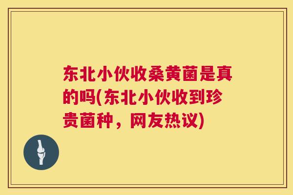 东北小伙收桑黄菌是真的吗(东北小伙收到珍贵菌种,网友热议) 东北小伙收桑黄菌是真的吗(东北小伙收到珍贵菌种,网友热议)