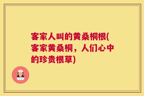 客家人叫的黄桑桐根(客家黄桑桐,人们心中的珍贵根草) 客家人叫的黄桑桐根(客家黄桑桐,人们心中的珍贵根草)