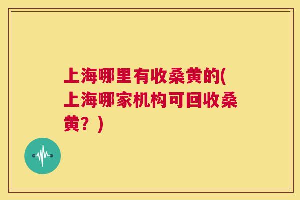 上海哪里有收桑黄的(上海哪家机构可回收桑黄?) 上海哪里有收桑黄的(上海哪家机构可回收桑黄?)