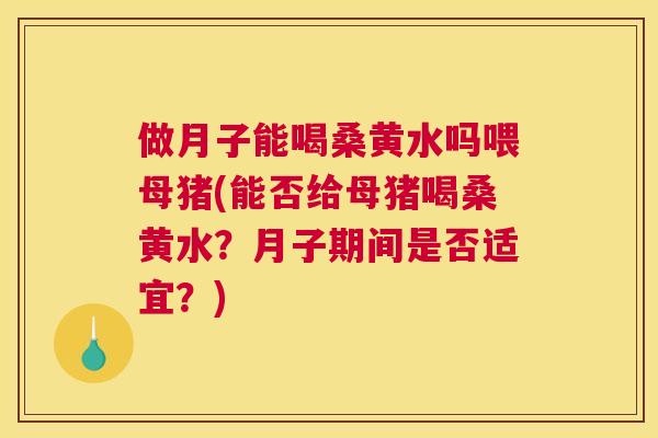 做月子能喝桑黄水吗喂母猪(能否给母猪喝桑黄水?月子期间是否适宜?) 做月子能喝桑黄水吗喂母猪(能否给母猪喝桑黄水?月子期间是否适宜?)