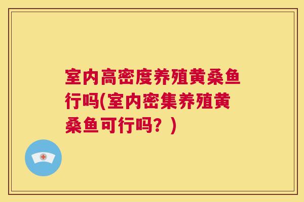 室内高密度养殖黄桑鱼行吗(室内密集养殖黄桑鱼可行吗?) 室内高密度养殖黄桑鱼行吗(室内密集养殖黄桑鱼可行吗?)