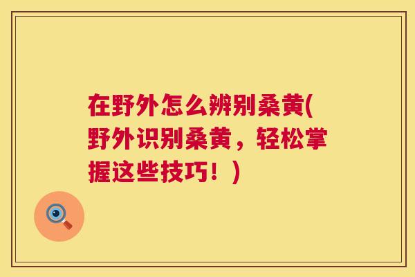 在野外怎么辨别桑黄(野外识别桑黄,轻松掌握这些技巧!) 在野外怎么辨别桑黄(野外识别桑黄,轻松掌握这些技巧!)