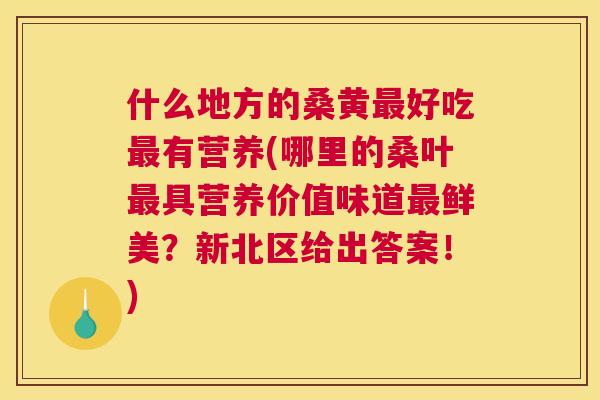什么地方的桑黄好吃有营养(哪里的桑叶具营养价值味道鲜美?新北区给出答案!) 什么地方的桑黄好吃有营养(哪里的桑叶具营养价值味道鲜美?新北区给出答案!)