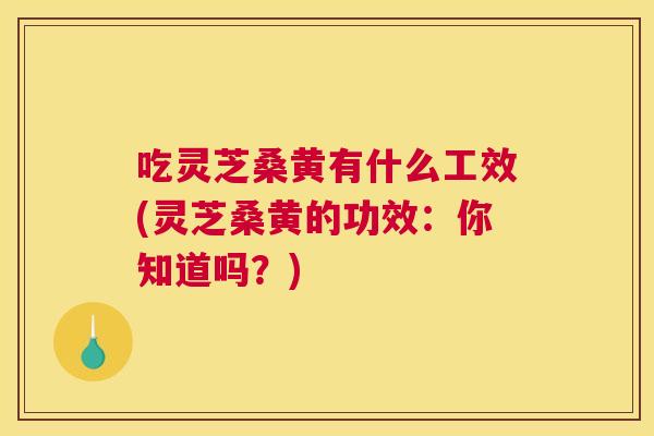 吃灵芝桑黄有什么工效(灵芝桑黄的功效:你知道吗?) 吃灵芝桑黄有什么工效(灵芝桑黄的功效:你知道吗?)