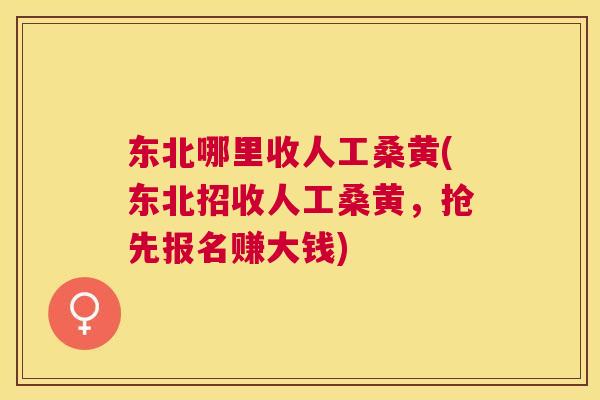 东北哪里收人工桑黄(东北招收人工桑黄，抢先报名赚大钱)