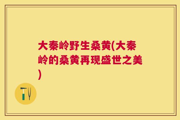 大秦岭野生桑黄(大秦岭的桑黄再现盛世之美) 大秦岭野生桑黄(大秦岭的桑黄再现盛世之美)