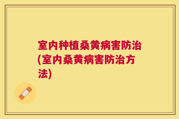室内种植桑黄害防(室内桑黄害防方法) 室内种植桑黄害防(室内桑黄害防方法)