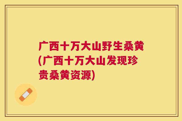 广西十万大山野生桑黄(广西十万大山发现珍贵桑黄资源) 广西十万大山野生桑黄(广西十万大山发现珍贵桑黄资源)