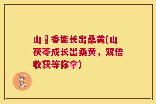 山朩香能长出桑黄(山茯苓成长出桑黄,双倍收获等你拿) 山朩香能长出桑黄(山茯苓成长出桑黄,双倍收获等你拿)