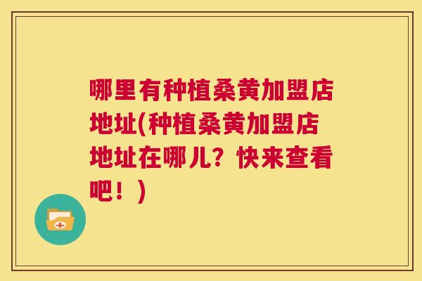 哪里有种植桑黄加盟店地址(种植桑黄加盟店地址在哪儿？快来查看吧！)