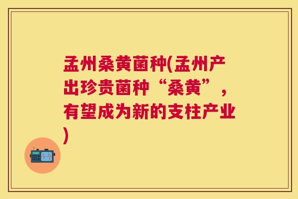 孟州桑黄菌种(孟州产出珍贵菌种“桑黄”,有望成为新的支柱产业) 孟州桑黄菌种(孟州产出珍贵菌种“桑黄”,有望成为新的支柱产业)
