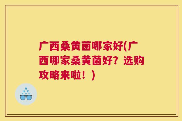 广西桑黄菌哪家好(广西哪家桑黄菌好?选购攻略来啦!) 广西桑黄菌哪家好(广西哪家桑黄菌好?选购攻略来啦!)