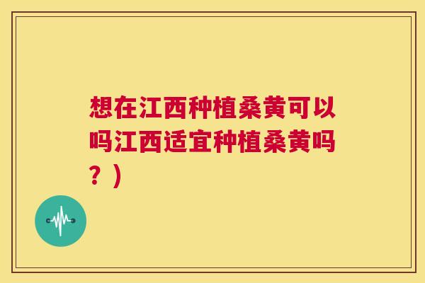 想在江西种植桑黄可以吗江西适宜种植桑黄吗?) 想在江西种植桑黄可以吗江西适宜种植桑黄吗?)