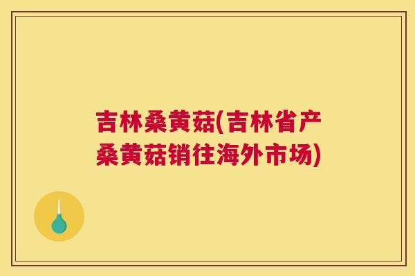 吉林桑黄菇(吉林省产桑黄菇销往海外市场) 吉林桑黄菇(吉林省产桑黄菇销往海外市场)