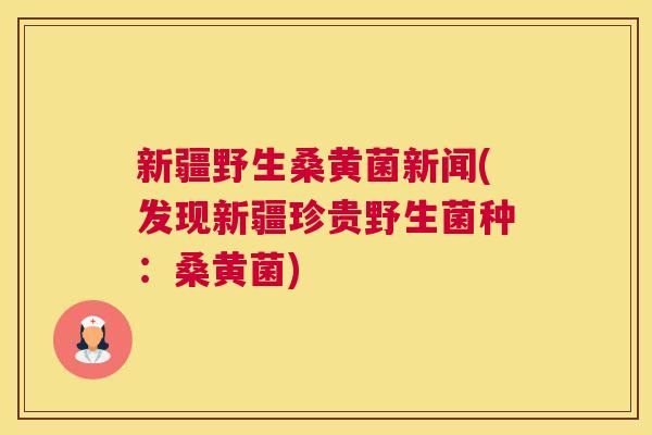 新疆野生桑黄菌新闻(发现新疆珍贵野生菌种:桑黄菌) 新疆野生桑黄菌新闻(发现新疆珍贵野生菌种:桑黄菌)