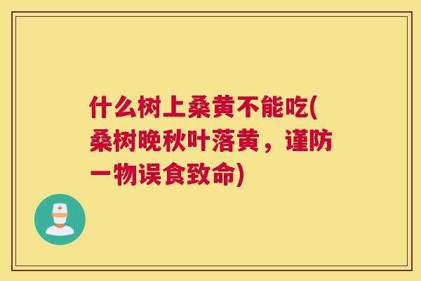 什么树上桑黄不能吃(桑树晚秋叶落黄,谨防一物误食致命) 什么树上桑黄不能吃(桑树晚秋叶落黄,谨防一物误食致命)
