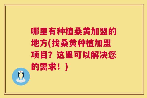 哪里有种植桑黄加盟的地方(找桑黄种植加盟项目?这里可以解决您的需求!) 哪里有种植桑黄加盟的地方(找桑黄种植加盟项目?这里可以解决您的需求!)