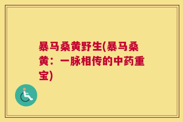 暴马桑黄野生(暴马桑黄:一脉相传的重宝) 暴马桑黄野生(暴马桑黄:一脉相传的重宝)