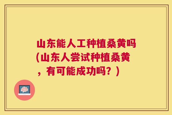 山东能人工种植桑黄吗(山东人尝试种植桑黄,有可能成功吗?) 山东能人工种植桑黄吗(山东人尝试种植桑黄,有可能成功吗?)