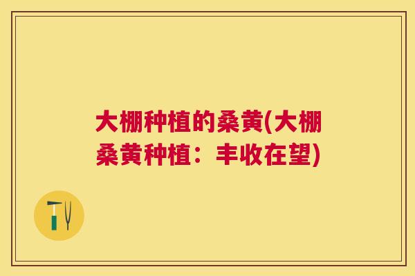 大棚种植的桑黄(大棚桑黄种植:丰收在望) 大棚种植的桑黄(大棚桑黄种植:丰收在望)