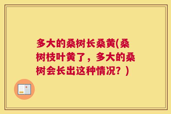 多大的桑树长桑黄(桑树枝叶黄了,多大的桑树会长出这种情况?) 多大的桑树长桑黄(桑树枝叶黄了,多大的桑树会长出这种情况?)