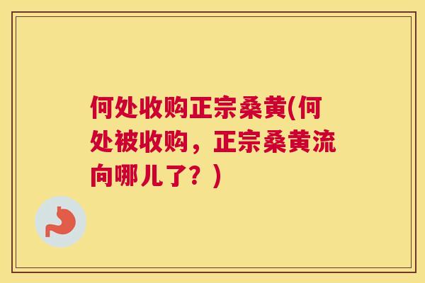何处收购正宗桑黄(何处被收购，正宗桑黄流向哪儿了？)