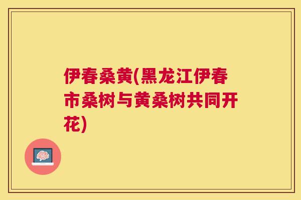 伊春桑黄(黑龙江伊春市桑树与黄桑树共同开花) 伊春桑黄(黑龙江伊春市桑树与黄桑树共同开花)
