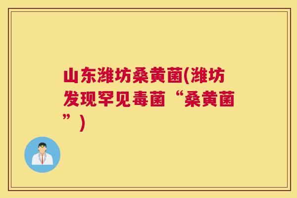山东潍坊桑黄菌(潍坊发现罕见毒菌“桑黄菌”) 山东潍坊桑黄菌(潍坊发现罕见毒菌“桑黄菌”)