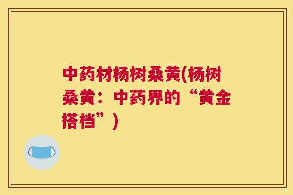材杨树桑黄(杨树桑黄:界的“黄金搭档”) 材杨树桑黄(杨树桑黄:界的“黄金搭档”)