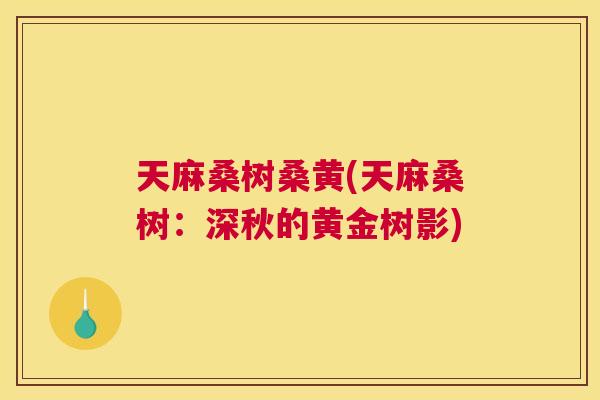 天麻桑树桑黄(天麻桑树:深秋的黄金树影) 天麻桑树桑黄(天麻桑树:深秋的黄金树影)