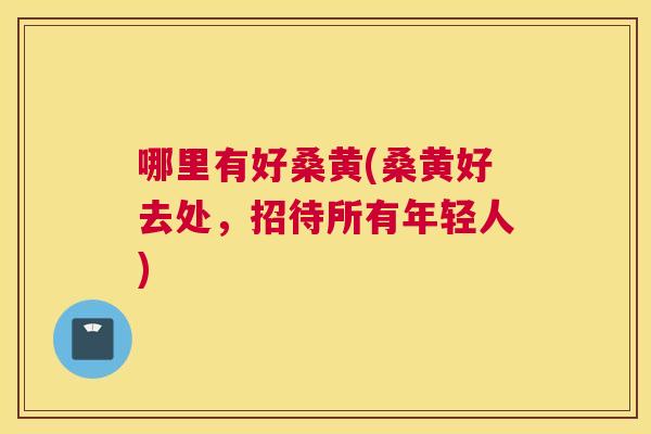 哪里有好桑黄(桑黄好去处,招待所有年轻人) 哪里有好桑黄(桑黄好去处,招待所有年轻人)