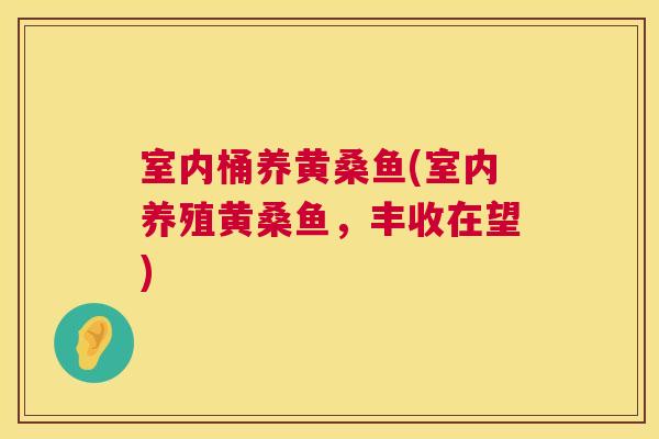 室内桶养黄桑鱼(室内养殖黄桑鱼,丰收在望) 室内桶养黄桑鱼(室内养殖黄桑鱼,丰收在望)