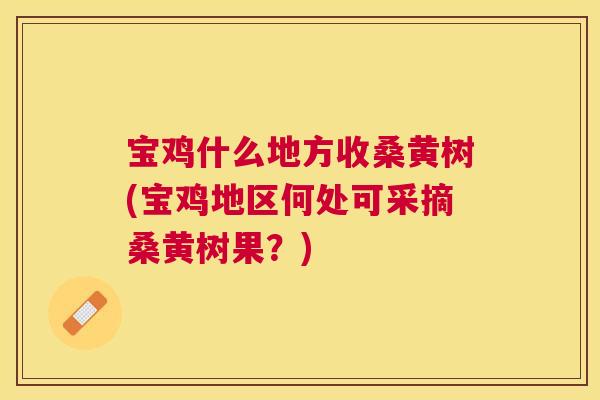 宝鸡什么地方收桑黄树(宝鸡地区何处可采摘桑黄树果?) 宝鸡什么地方收桑黄树(宝鸡地区何处可采摘桑黄树果?)