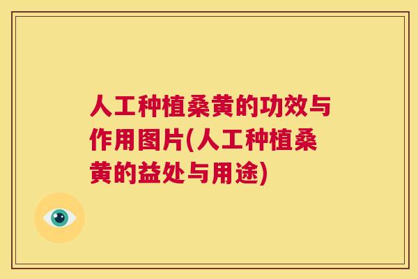 人工种植桑黄的功效与作用图片(人工种植桑黄的益处与用途) 人工种植桑黄的功效与作用图片(人工种植桑黄的益处与用途)