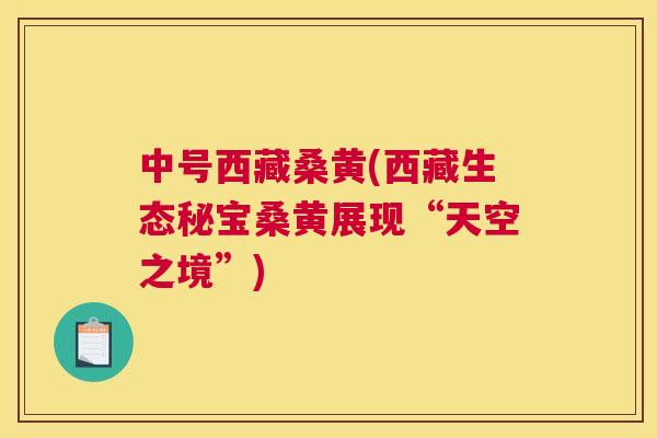 中号西藏桑黄(西藏生态秘宝桑黄展现“天空之境”) 中号西藏桑黄(西藏生态秘宝桑黄展现“天空之境”)