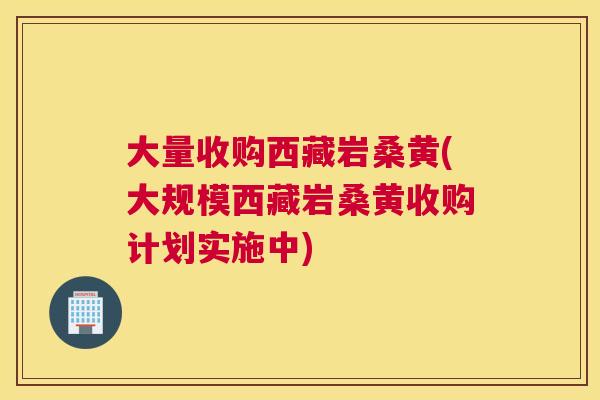 大量收购西藏岩桑黄(大规模西藏岩桑黄收购计划实施中) 大量收购西藏岩桑黄(大规模西藏岩桑黄收购计划实施中)