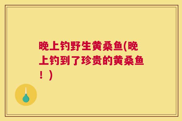 晚上钓野生黄桑鱼(晚上钓到了珍贵的黄桑鱼!) 晚上钓野生黄桑鱼(晚上钓到了珍贵的黄桑鱼!)