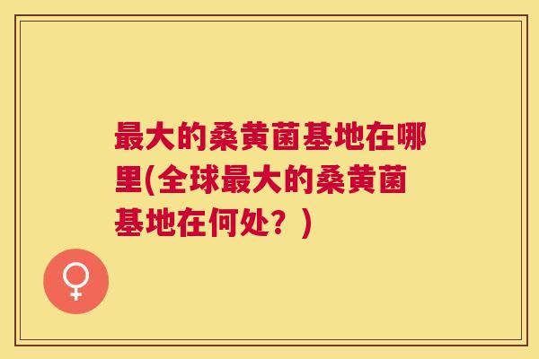 大的桑黄菌基地在哪里(全球大的桑黄菌基地在何处？)