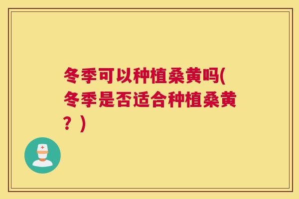 冬季可以种植桑黄吗(冬季是否适合种植桑黄？)