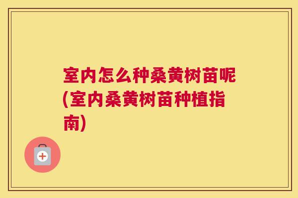 室内怎么种桑黄树苗呢(室内桑黄树苗种植指南) 室内怎么种桑黄树苗呢(室内桑黄树苗种植指南)