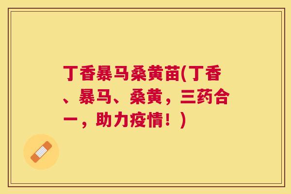 丁香暴马桑黄苗(丁香、暴马、桑黄,三药合一,助力疫情!) 丁香暴马桑黄苗(丁香、暴马、桑黄,三药合一,助力疫情!)