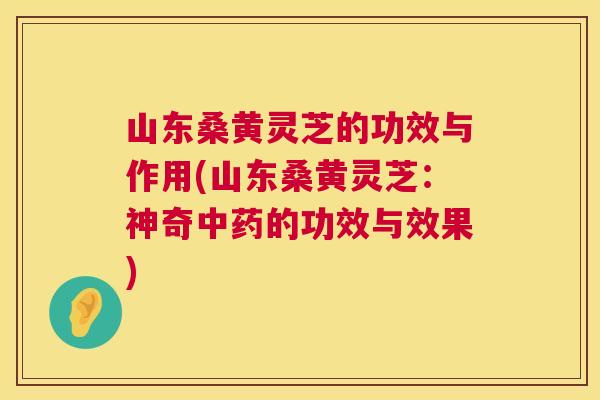 山东桑黄灵芝的功效与作用(山东桑黄灵芝:神奇的功效与效果) 山东桑黄灵芝的功效与作用(山东桑黄灵芝:神奇的功效与效果)