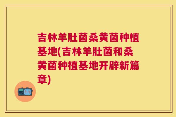 吉林羊肚菌桑黄菌种植基地(吉林羊肚菌和桑黄菌种植基地开辟新篇章) 吉林羊肚菌桑黄菌种植基地(吉林羊肚菌和桑黄菌种植基地开辟新篇章)