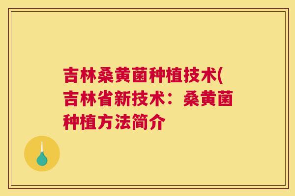 吉林桑黄菌种植技术(吉林省新技术:桑黄菌种植方法简介 吉林桑黄菌种植技术(吉林省新技术:桑黄菌种植方法简介